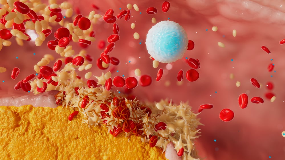 3d-medical-animation-blood-cells-artery-visualisation-sliced-bread-animation-3